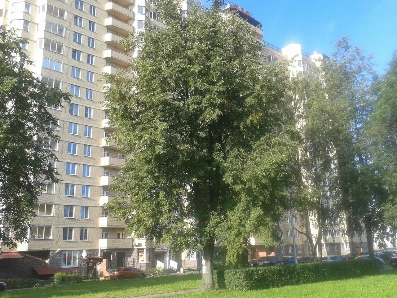 Череповец ул. Кдц 85 на корзуна. Дом. Ветеранов дом 3. Проспект ветеранов 75 к2.