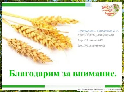 C уважением