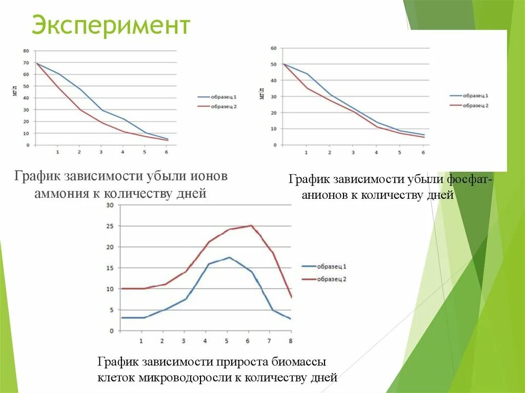 Разработка технологии очистки сточных вод с использованием микроводорослей - пре