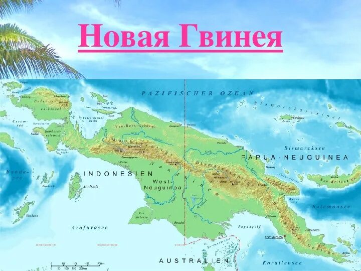 Площадь острова новая гвинея. Где на карте остров новая гвинея. Длина острова новая гвинея. Длина острова новая гвинея. Папуа новая гвинея физическая карта.