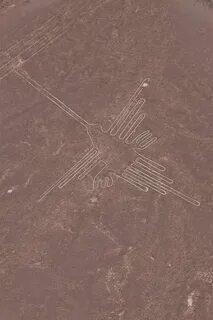 Каком направлении вероятнее всего движется плита наска