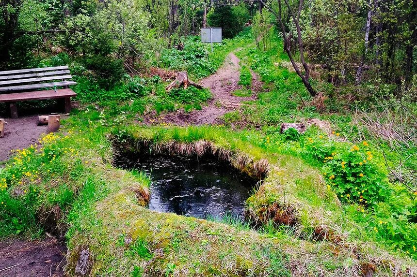 Томск места которые стоит посетить. Таловские чаши в томской области. таловские известковые чаши томск. чаши томске таловские чаши. таловские чаши басандайка.