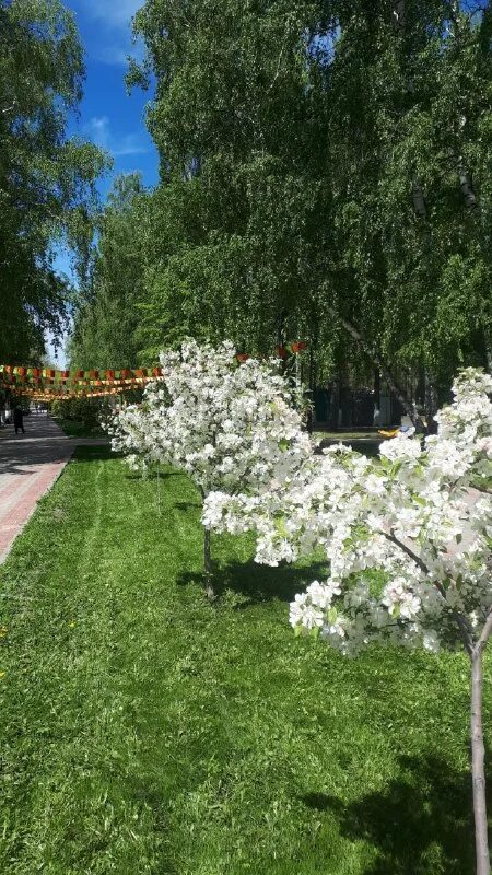 россошь детка