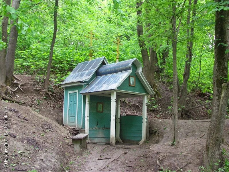 Курские родники. Курск Коренная пустынь монастырь Родники. Курская область местечко Свобода монастырь Коренная.