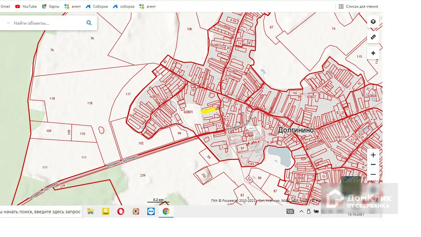Кадастровая карта рязанской области рязанский район. Мурминское сельское поселение Рязанского района. Долгинино Рязанская область карта. ООО Мурминское Рязанская область Рязанский район. Мурмино Рязанская область на карте.