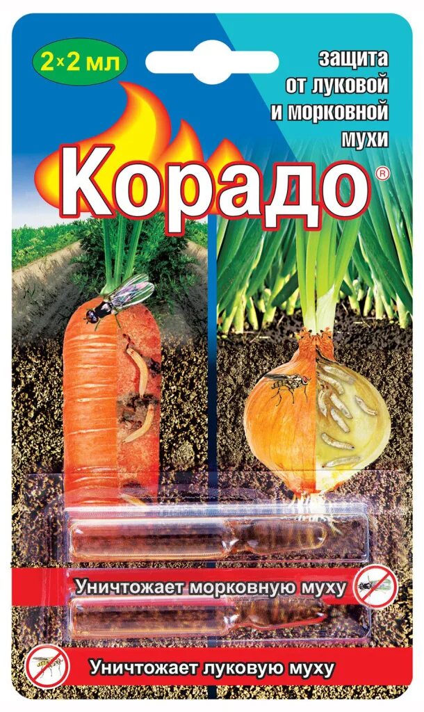 Морковная муха. Борьба с морковной мухой. Луковая и морковная муха. Лук от морковной мухи. Луковая муха морковная муха.