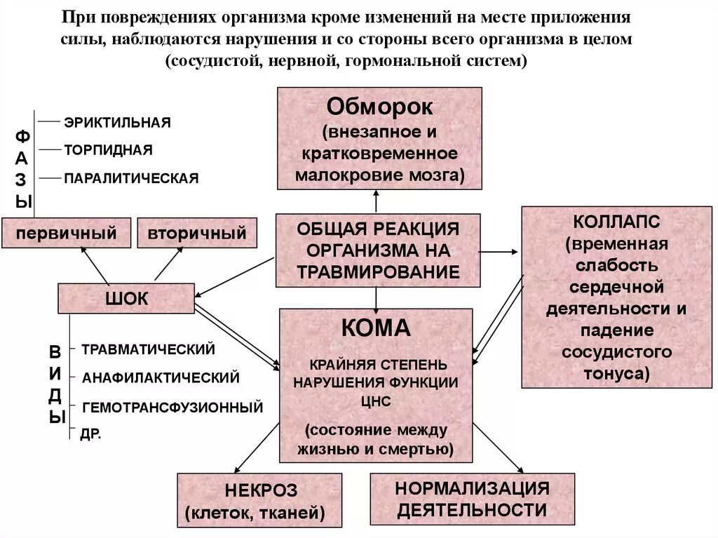 Общие реакции организма на повреждение патофизиология. Общая реакция организма на ранение. Реакции организма на пов. Системная реакция организма на повреждение.