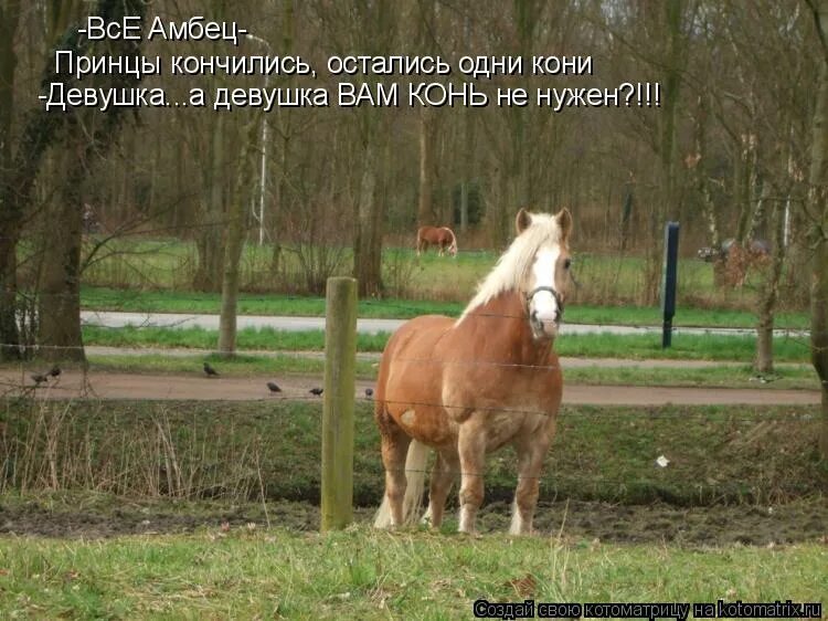 стой посмотри. стой посмотри. правила дорожного движения для пешеходов. пдд картинки для детей. дороги для детей.