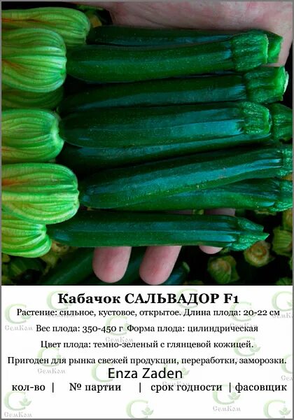 Семена Кабачок Сальвадор SADEXPERT 49936886 купить в интернет-магазине Wildberri