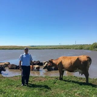 Погода в борме
