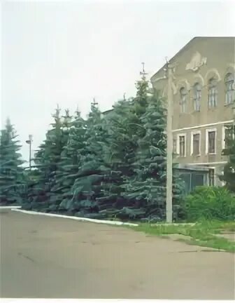 Верхнеозерский техникум сайт