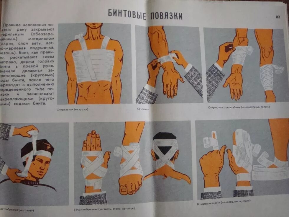 Техника наложения повязок животным