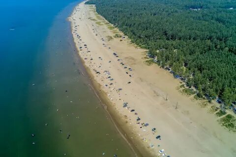 Река золотых песков
