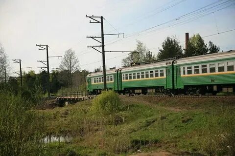 Лебяжий балтийский электричка