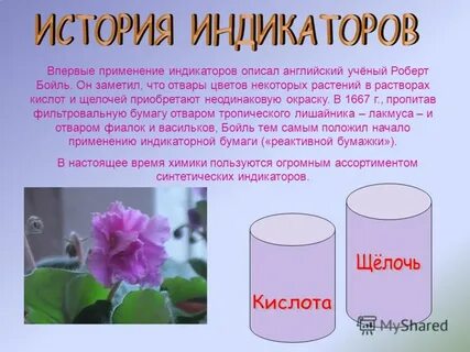 В каком году впервые применили