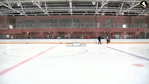 Академия ледяного