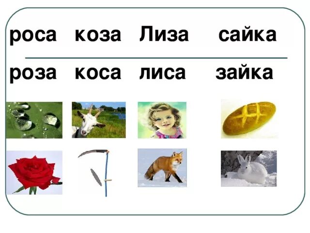 Сообщение о козе. Карточка коза коса. Коза парное слово. Коза парное слово. Парные звуки з и с.