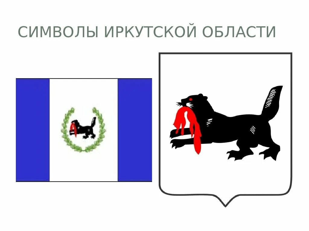 Флаг Иркутска и Иркутской области. Флаг и герб Иркутска. Флаг Ирк обл. Иркутск герб и флаг города.