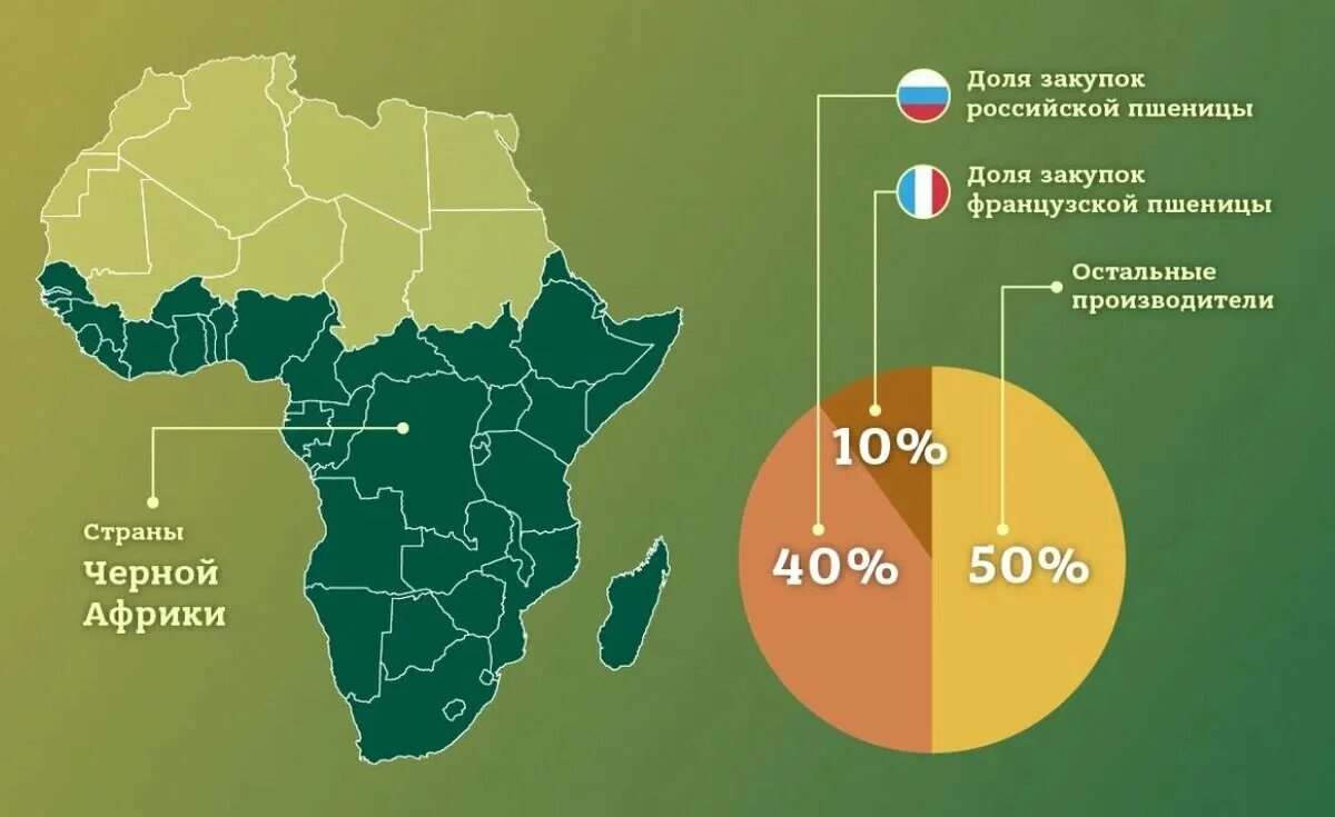 Каково место африки в мире. Соотношение России и Африки. Товарооборот России и Африки. Экспорт Африки. Территория Африки и России.