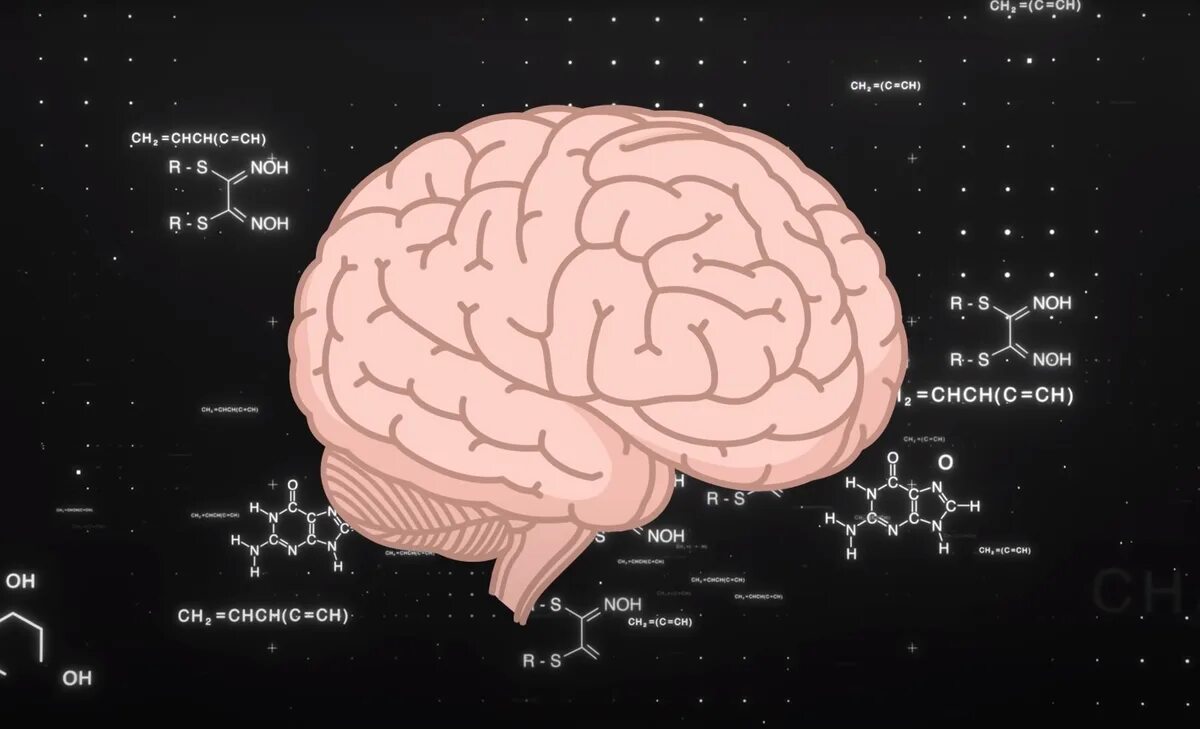 Тест на IQ. IQ интеллект. IQ мозг. Уровень интеллекта по айкью. Значение айкью