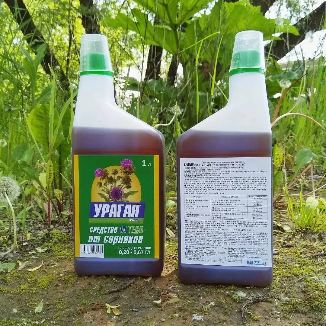 Средство от сорняков и травы навсегда. Средство от сорняков &quot;ураган форте&quot; 1 л. гербицид ураган форте, 500мл (16637). гербицид от сорняков ураган 100мл. ураган форте глифосат 500г/л.