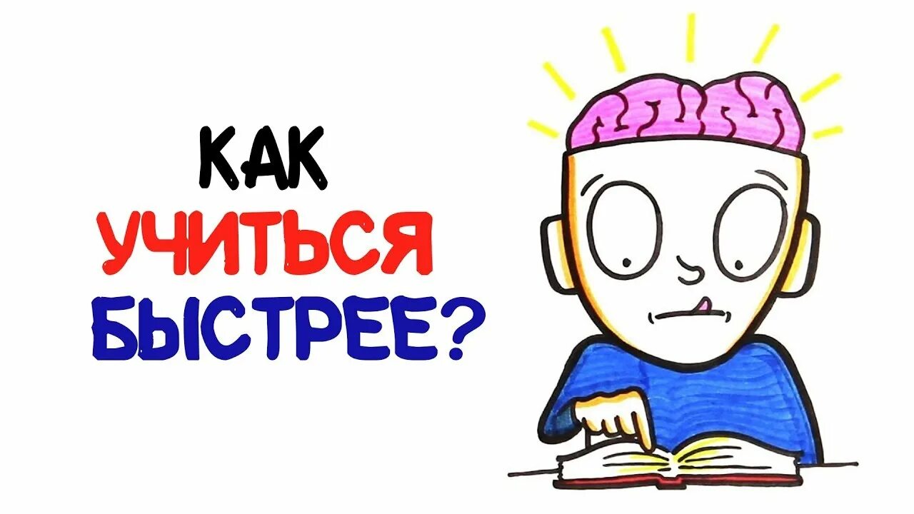 Научиться быстрее. Учиться быстрее. как научить мозг учиться. думай быстро учись. скоро учиться.