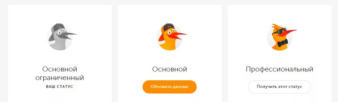 Как выглядит профессиональный статус qiwi. Qiwi минимальный статус. киви кошелек минимальный статус. статусы киви. основной статус киви.