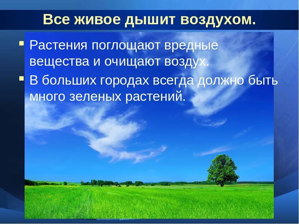 Нужен воздух чтобы дышать. Охрана воздуха. Чистый воздух презентация. Очищение воздуха в природе. Как очистить воздух в природе.