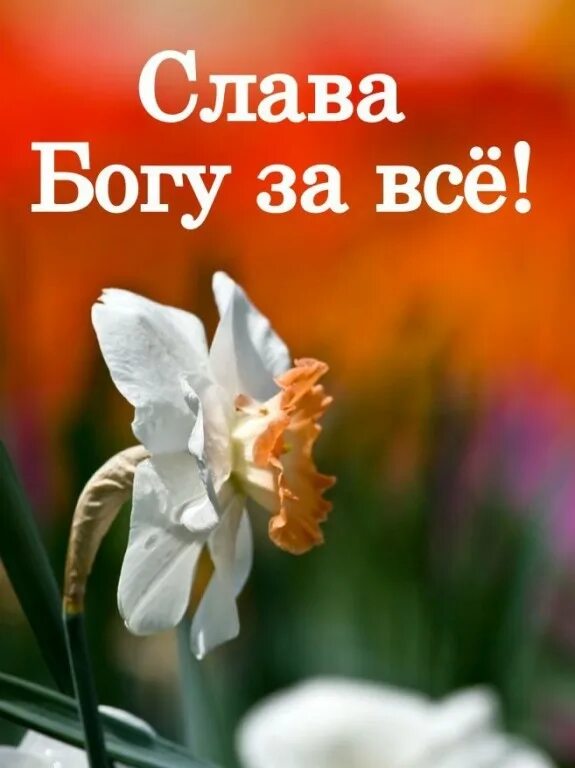 Спасибо богу за все. Слава богу. слава богу за все!. спасибо богу.
