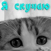 Очень соскучился по тебе картинки. Скучаю. соскучилась. скучаю по тебе. картинки я скучаю.