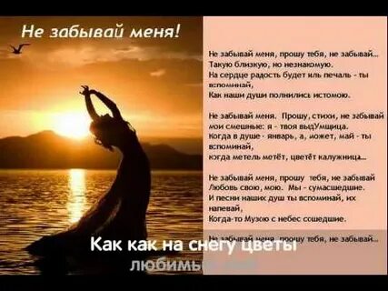 Забудь исполнить