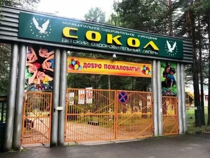 Сокол ачинск