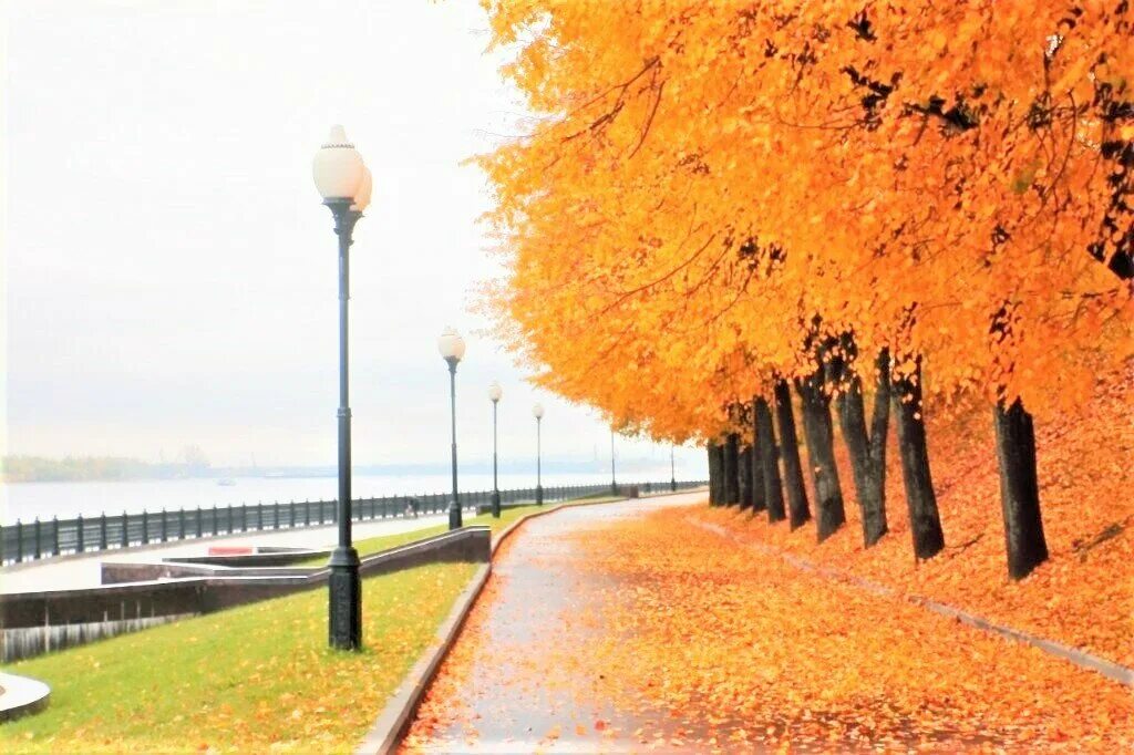 The Embankments of St.Petersburg with a Perfect View to the Neva River - Guide F