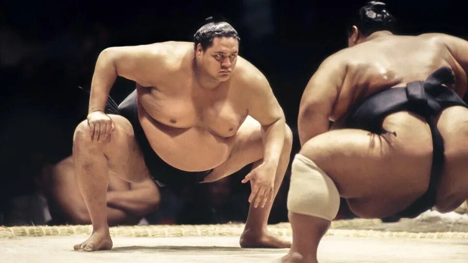 2 sumo. 2 sumo