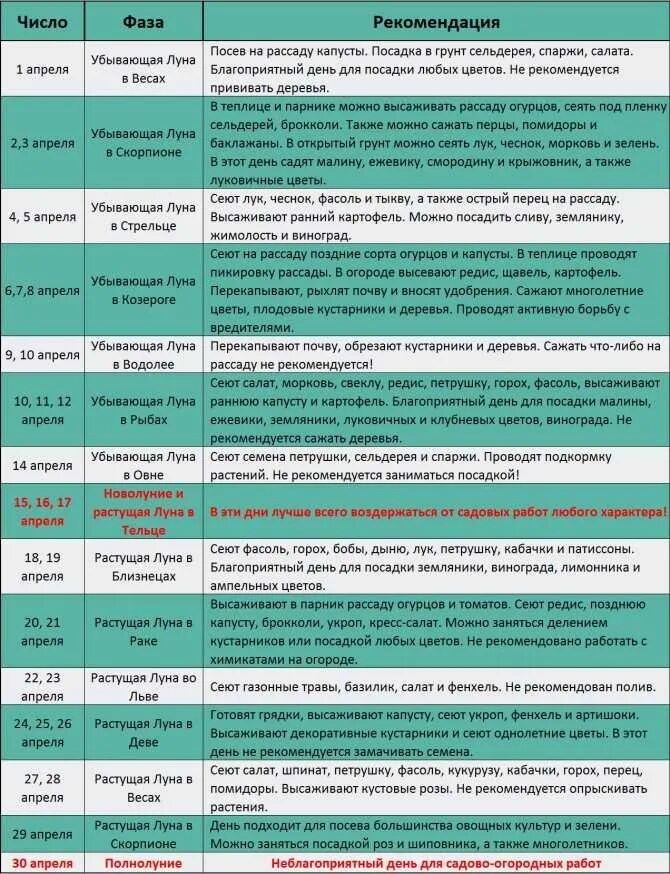 Апрель благоприятные дни для посадки рассады. Благоприятные дни для посадки капусты. благоприятные дни для посадки рассады в апреле. благоприятные дни посева зелени. знаки зодиака благоприятные для посадки капусты.