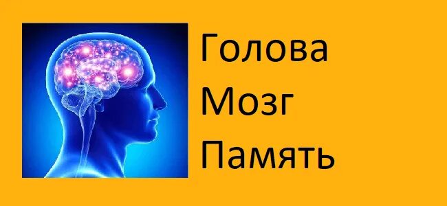 Настрой Сытина для головы. Сытин от головы. Настрой Сытина на внутричерепного давления. Сытин шум в голове