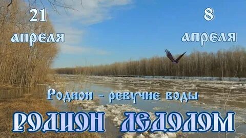 Приметы на 21 ноября 2023