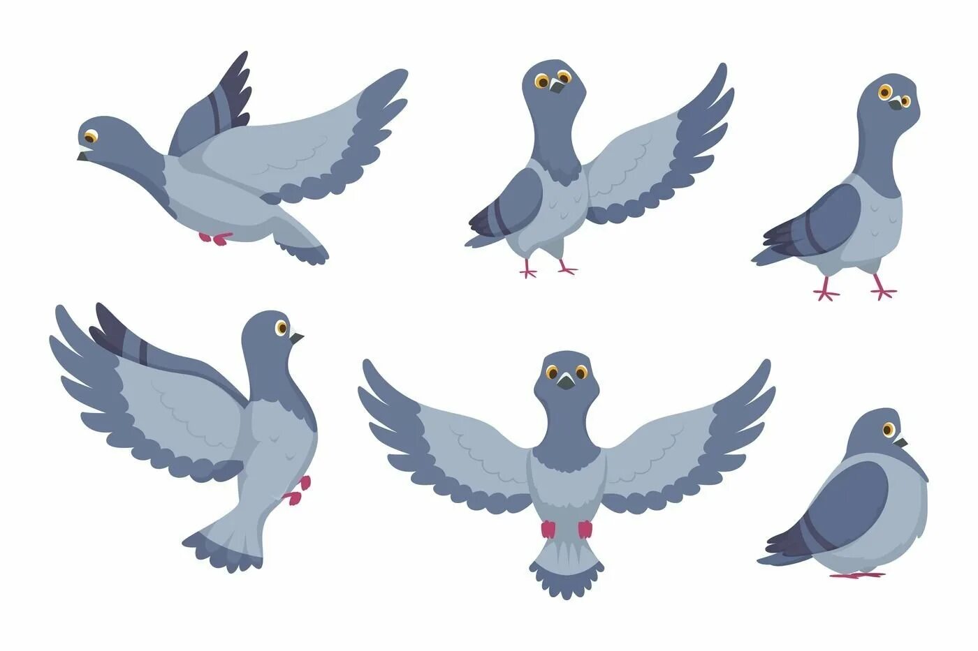 Голубь мультяшный. Голубь персонажи. Невозможный голубь мультфильм 2009. Голубь из мультика. Стилизованный голубь.