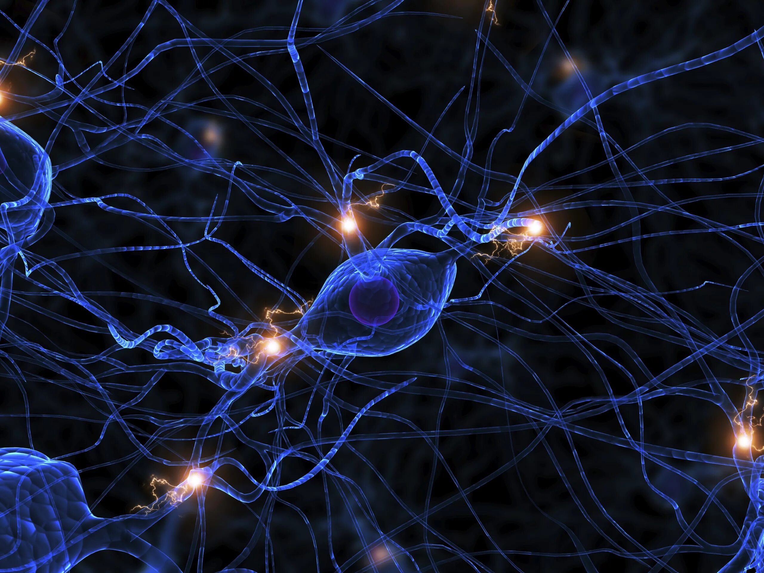 Электромагнитное поле живого организма. Нейронная сеть мозга. Нейронные связи в мозге. Мозг человека Нейроны. Нейрон нейросети.