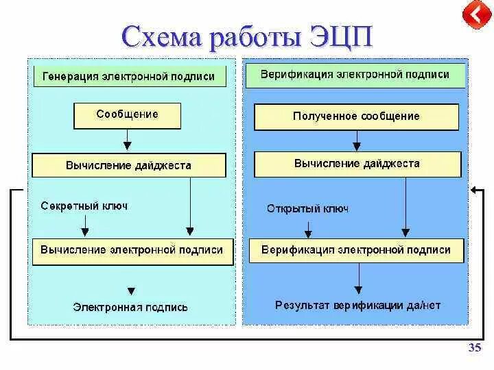 Алгоритм электронно цифровой подписи. Электронная цифровая подпись схема работы. Алгоритм получения электронной подписи. Схема работы ЭЦП. Схема верификации.