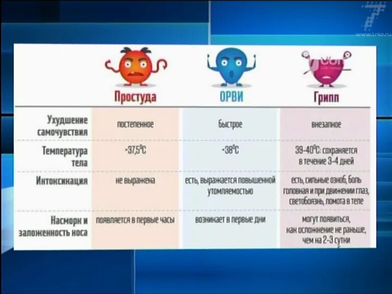 Разница простуды и вируса. Грипп и простуда отличия. Сколько проходит простуда. Сколько дней держится температура при ОРВИ.