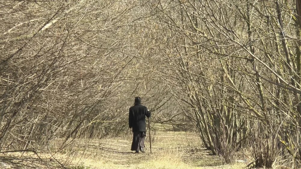 песня потерянный странник