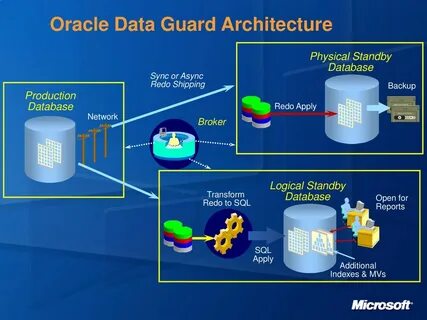 Oracle data