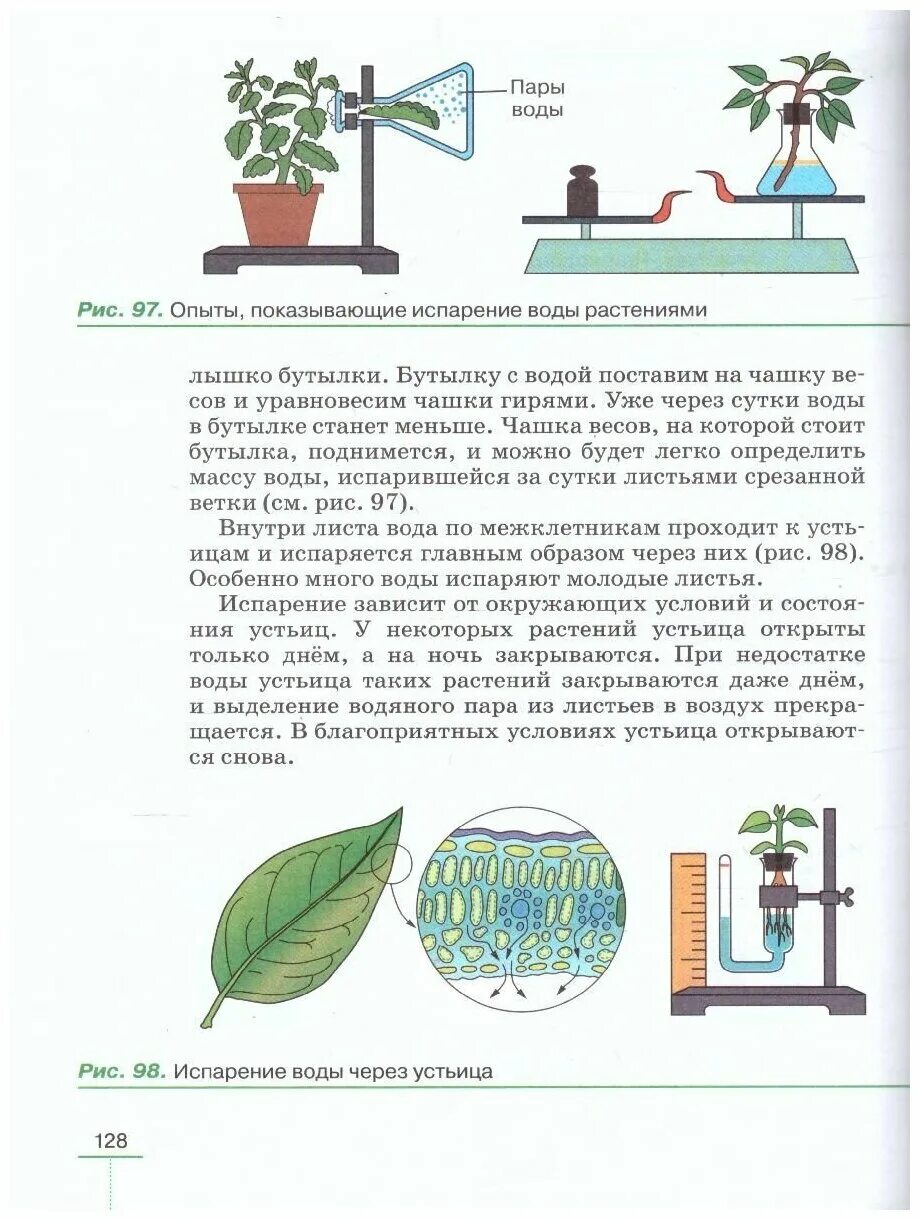 Покрытосеменные 6 класс пасечник учебник. Пасечник в. в. биология. 6 Класс // Дрофа.. Биология 6 класс линейный курс. Биология 6 класс учебник Пасечник линейный курс. 5 Класс Пасечник учебник биология линейный ку.