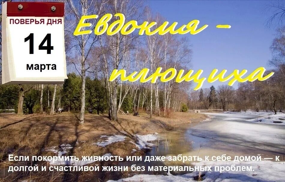 27 февраля приметы и поверья. 27 февраля приметы и поверья