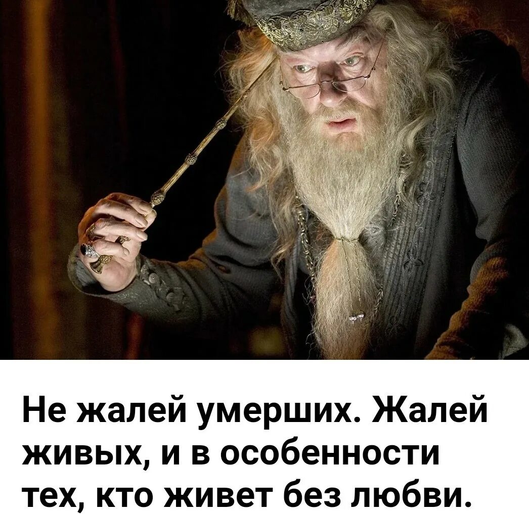 Счастье можно найти даже в темные времена. Альбус дамблдор ленко и правильно. впереди тяжёлые времена альбус дамблдор. впереди тяжелые времена и нам всем придется выбирать. тяжелые времена гарри.