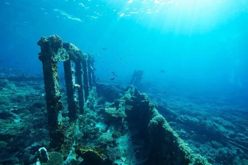 На дне 5 океанов. Дно океана. Дно моря. Океаны. Глубина. Дно Атлантического океана.