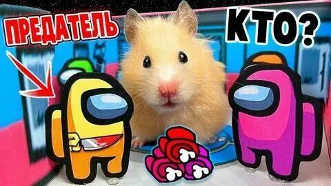 Мини игра хомяк сегодня 22