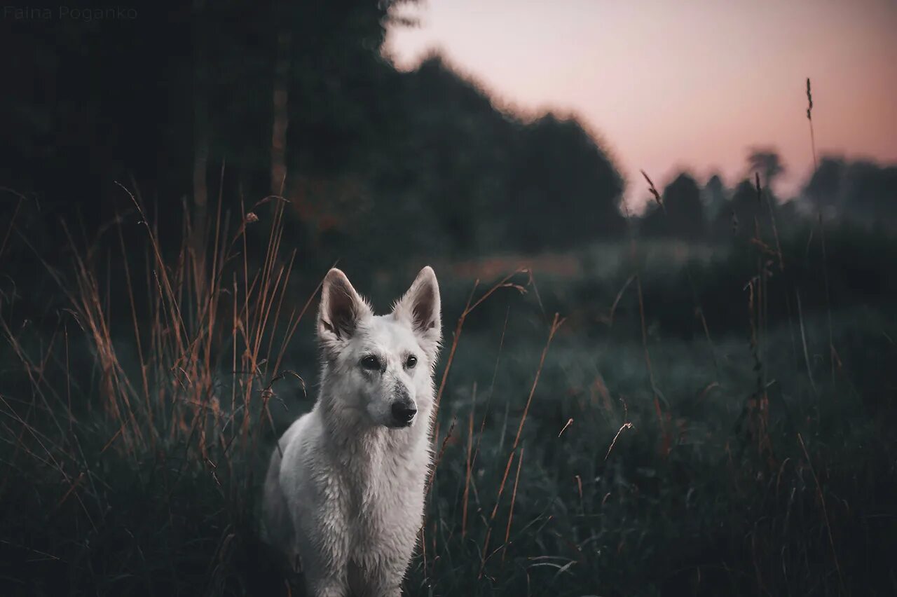 Про жизнь грустно