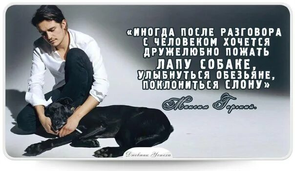 Иногда представитель. Люди хуже животных цитаты. человек животное цитаты. животные лучше людей цитаты. иногда после общения с человеком.